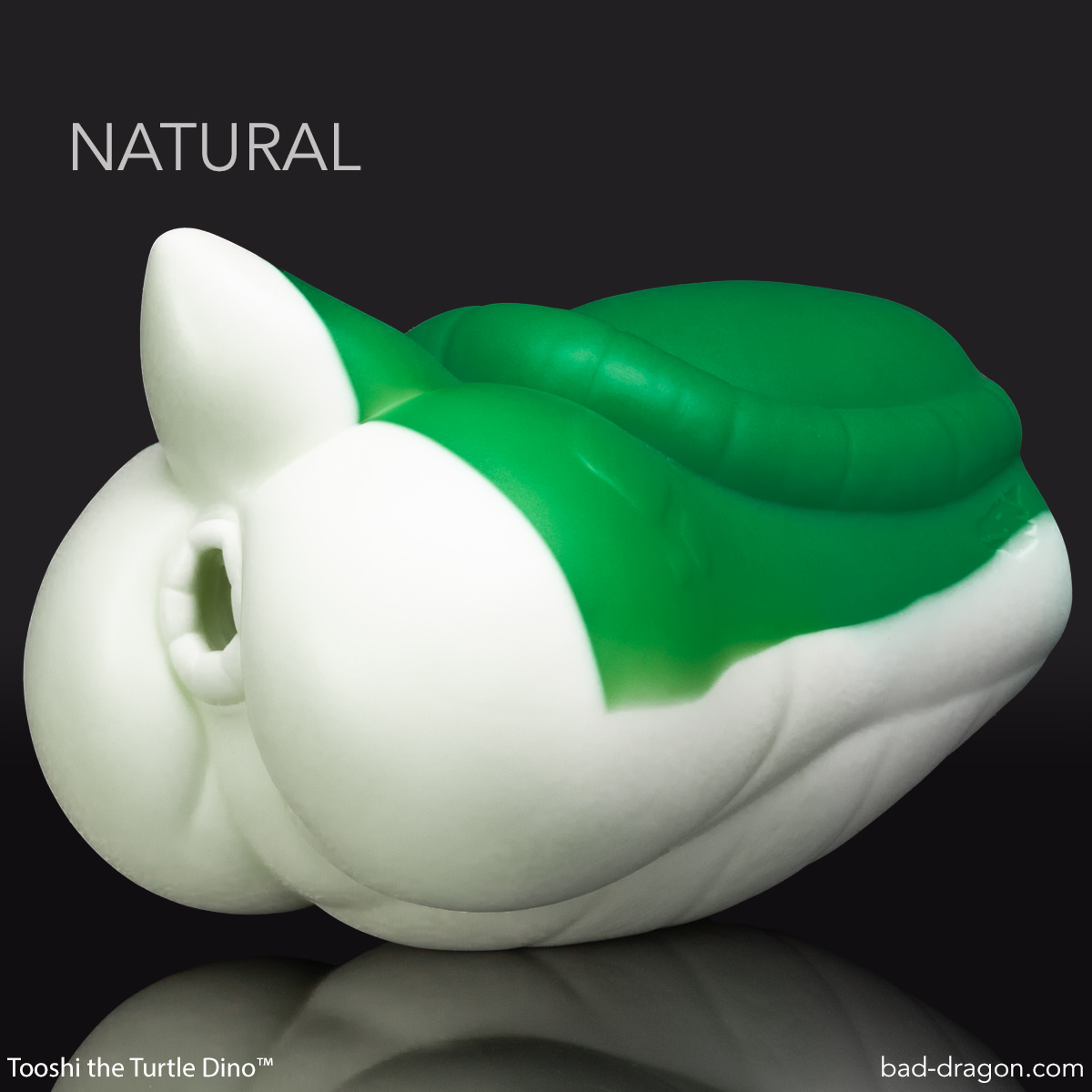 Tooshi Tooshi the Turtle Dino™ | Bad Dragon