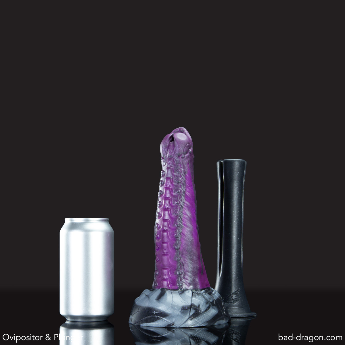 Ovipositor
